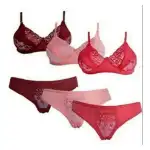 Ladies Undergarments